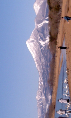 PA0_0523.JPG