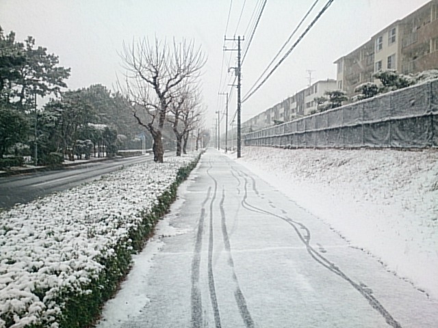 20180122  DSC_0001.jpg