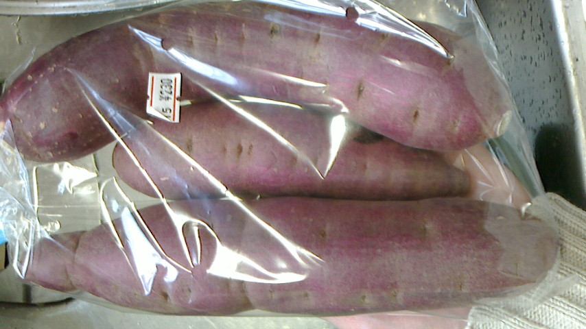 NEC_0680.JPG