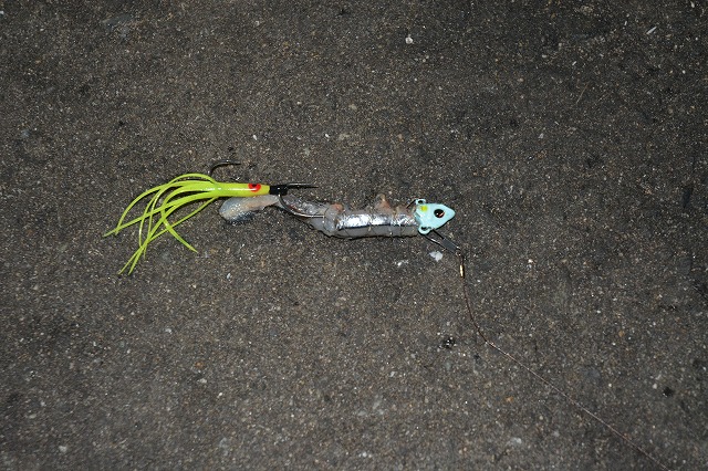 showPhoto (640×426)