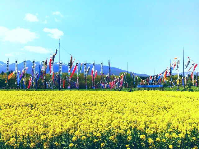 250509hartfullfarm1.jpg