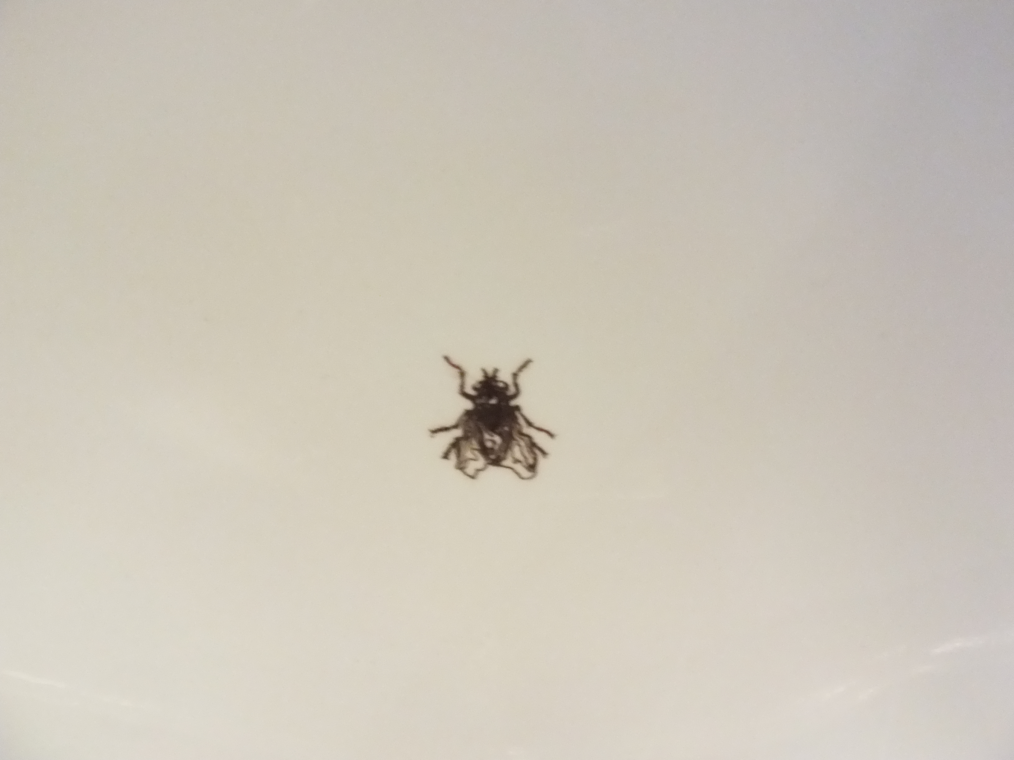 DSCF2588.JPG