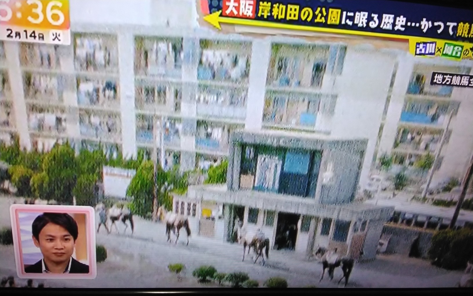 春木ａ.jpg