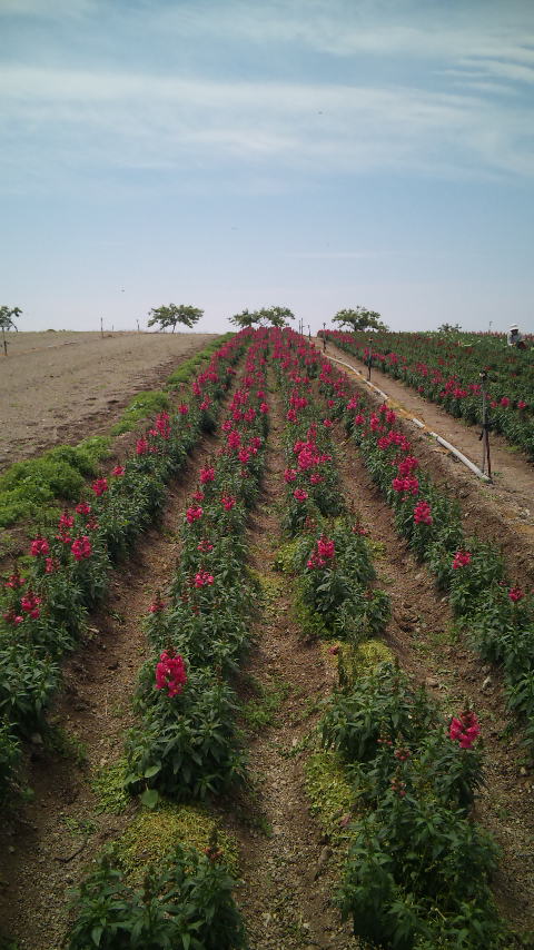 DVC00091.jpg