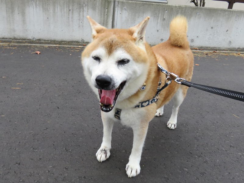 1眠いね.jpg
