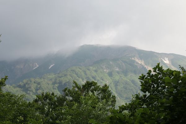 小蓮華山・小蓮華尾根bl.jpg