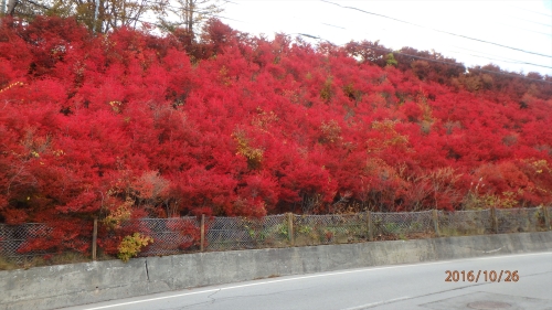 20161026 15570001.JPG