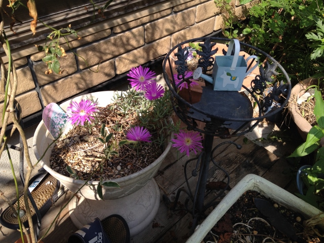 IMG_9287 (640x480).jpg