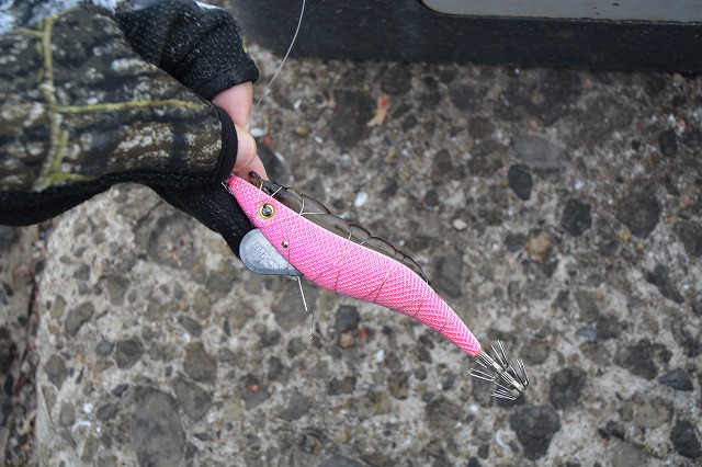 showPhoto (640×426)