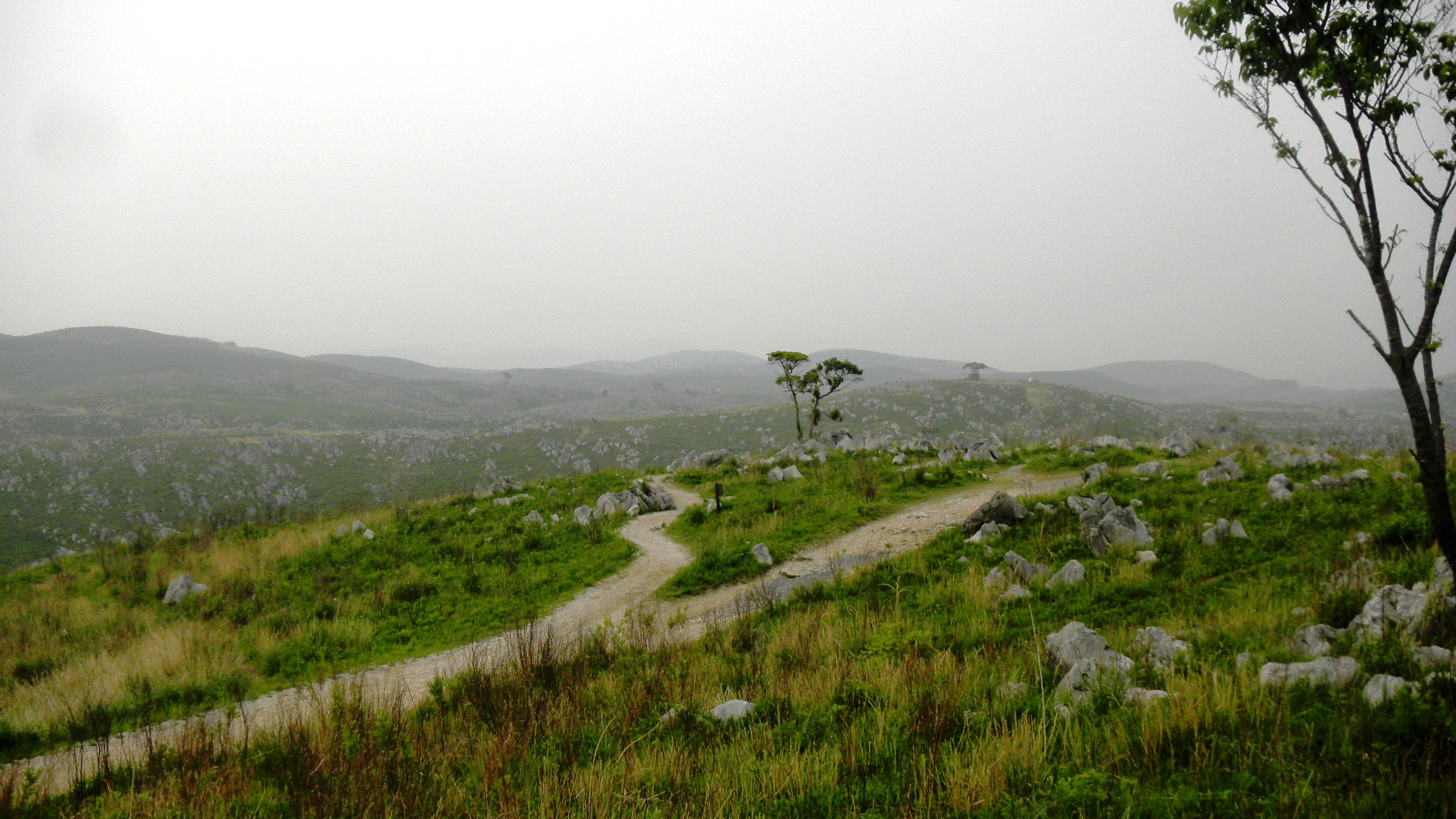 001秋吉台 (3).JPG