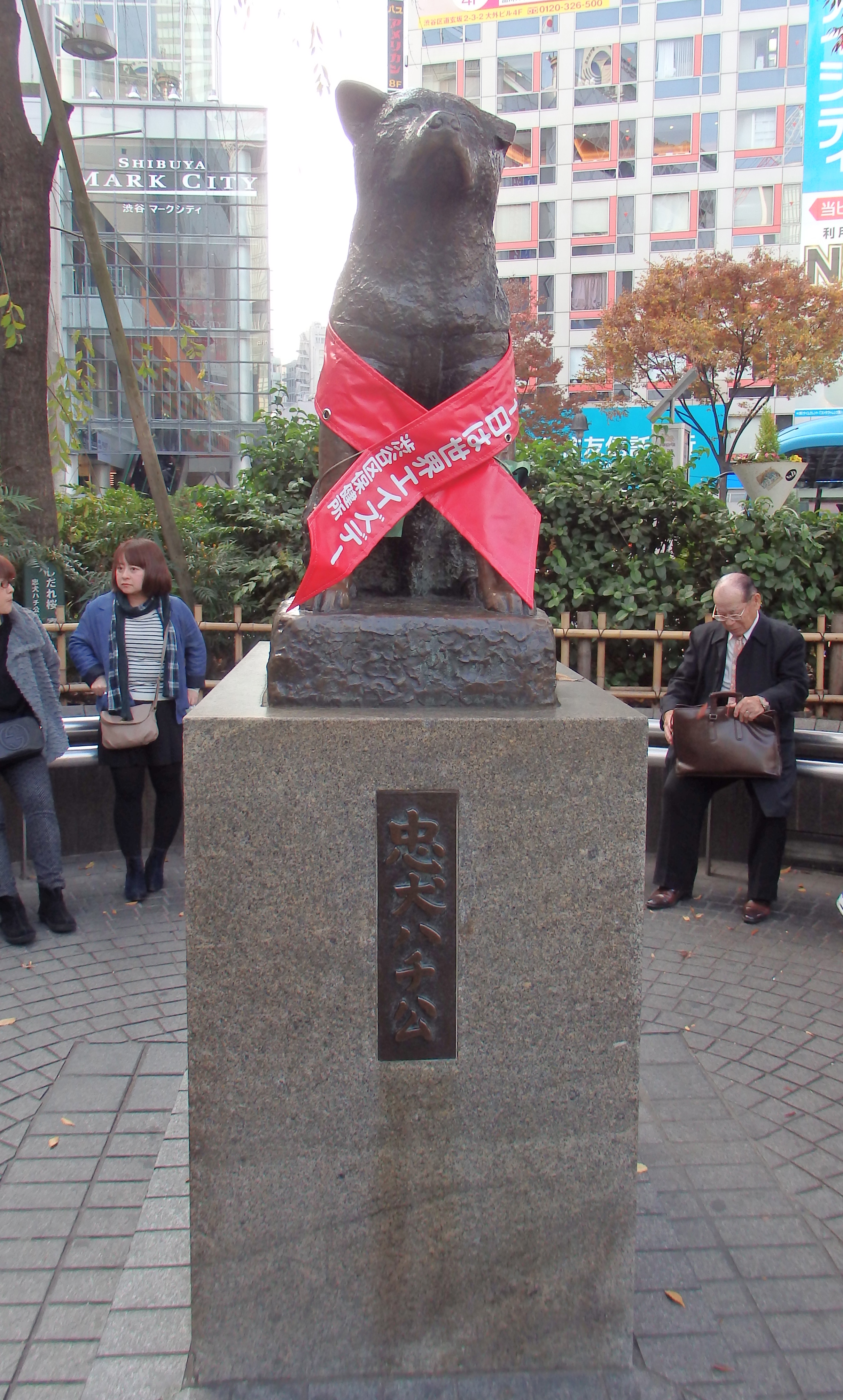 PB240277.jpg