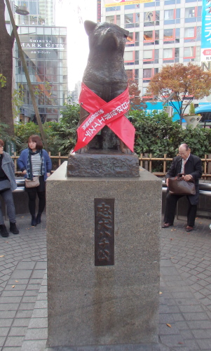 PB240277.jpg