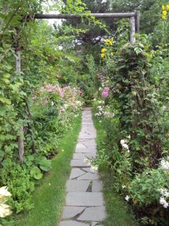 上野ファーム ミラーボーダー.jpg