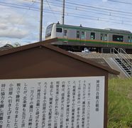 250616c.jpg