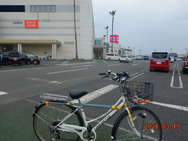 DSCN1950[1].JPG