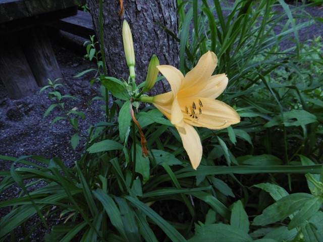 P1250319_R.JPG