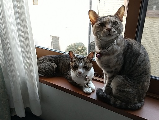 DSC_0677.JPG