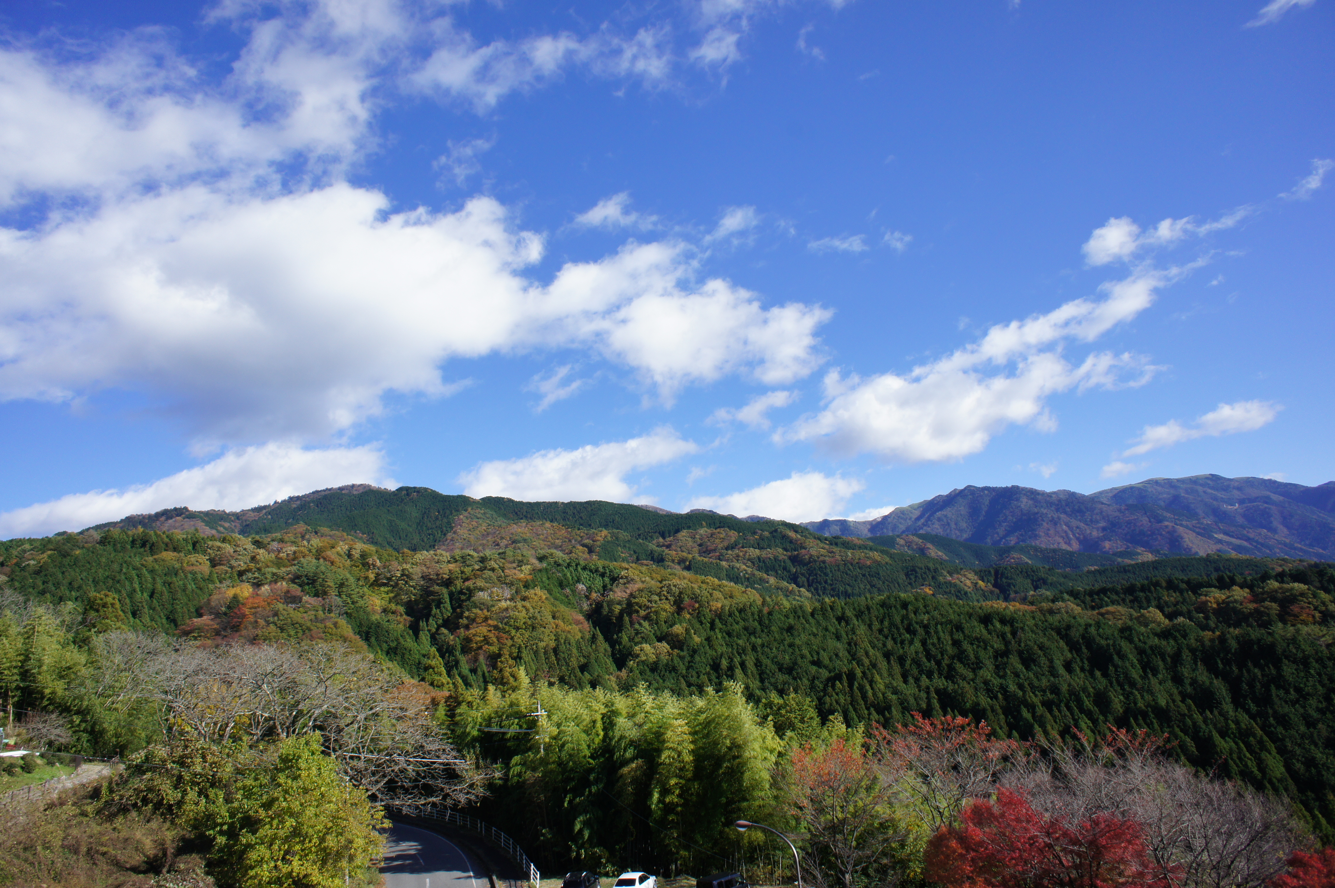 2013 11 13 012.JPG