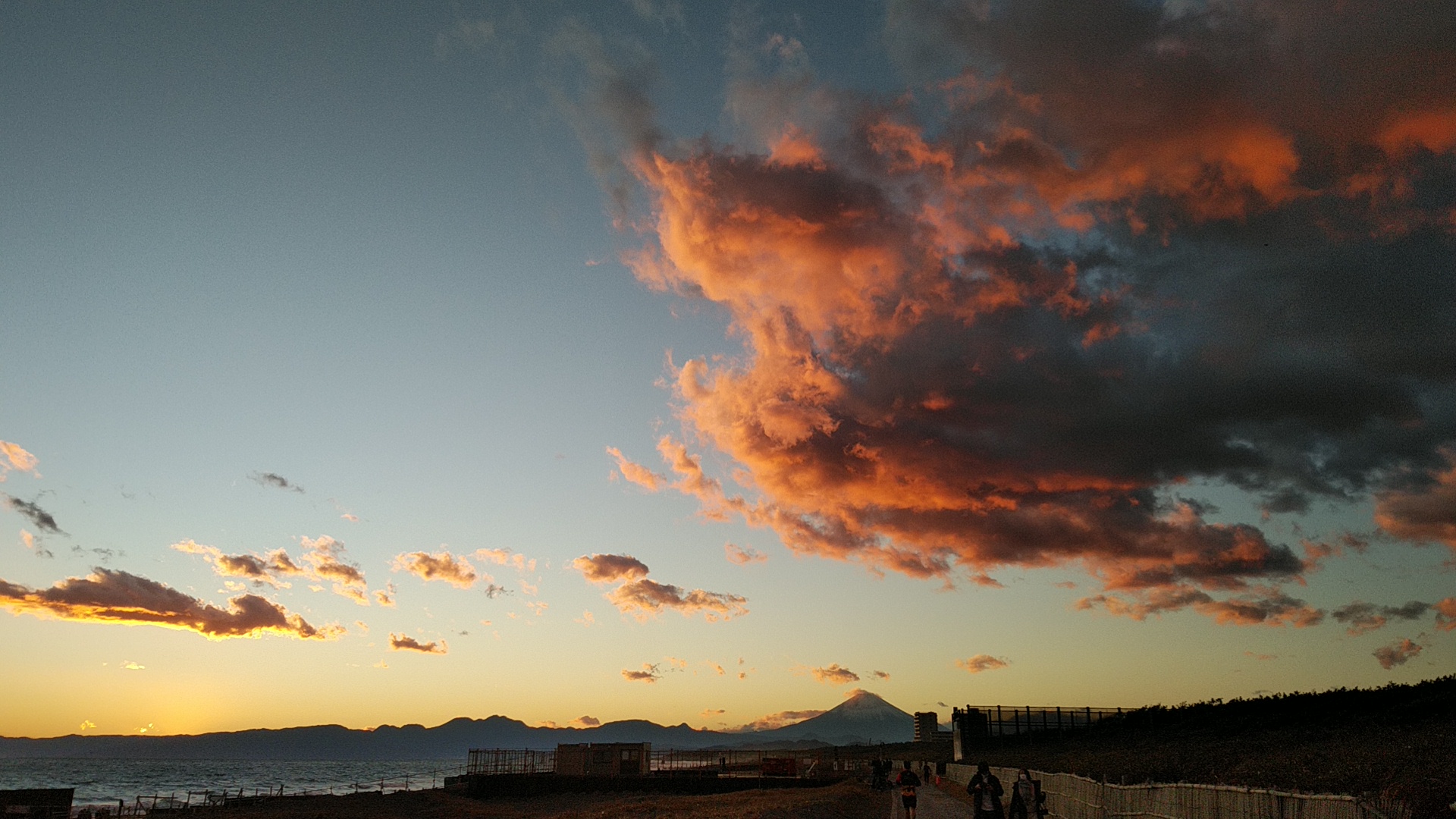 20201231  DSC_0002.jpg.jpg