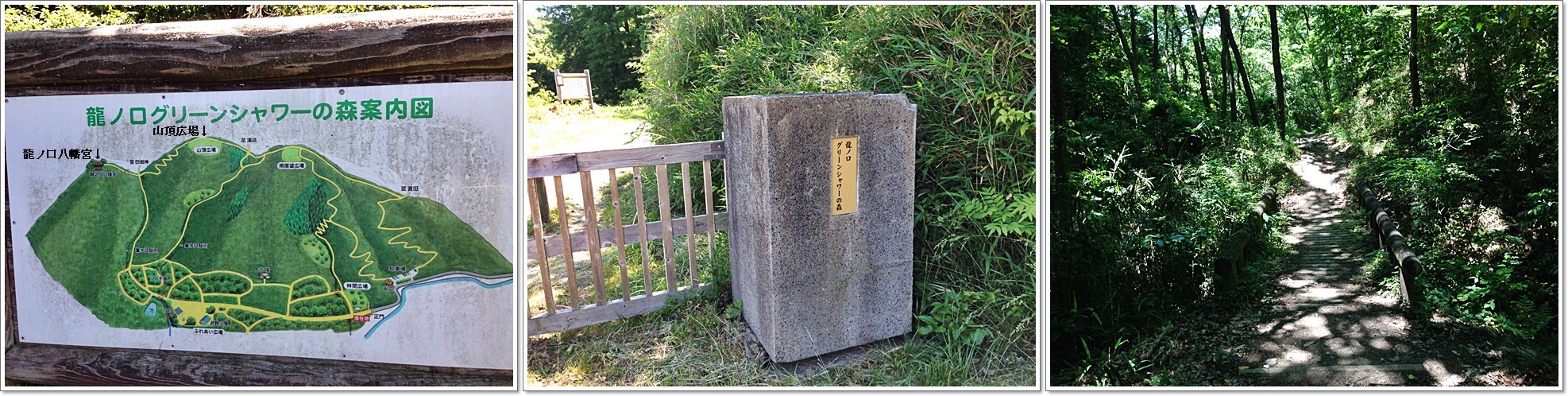 １グリんシャワーの森入り口３枚cats.jpg
