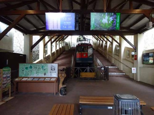 神戸六甲山 (23).JPG