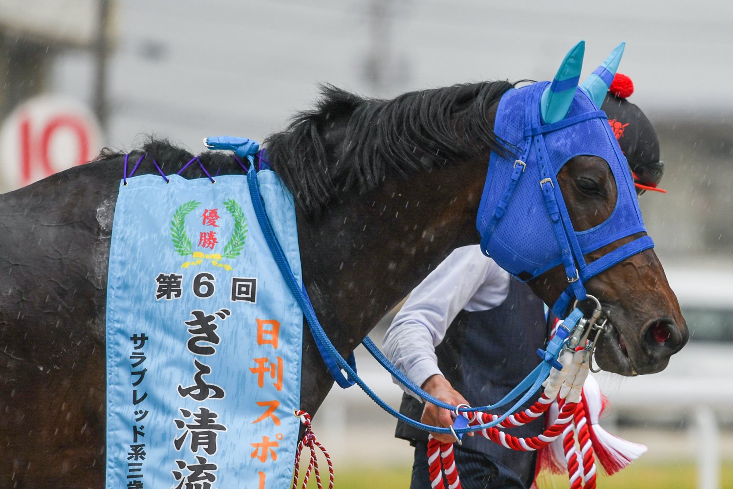 ぎふ清流カップ２３駒野ｃ.jpg