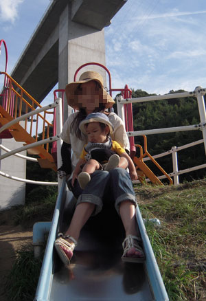 C:\fakepath\12101004.jpg