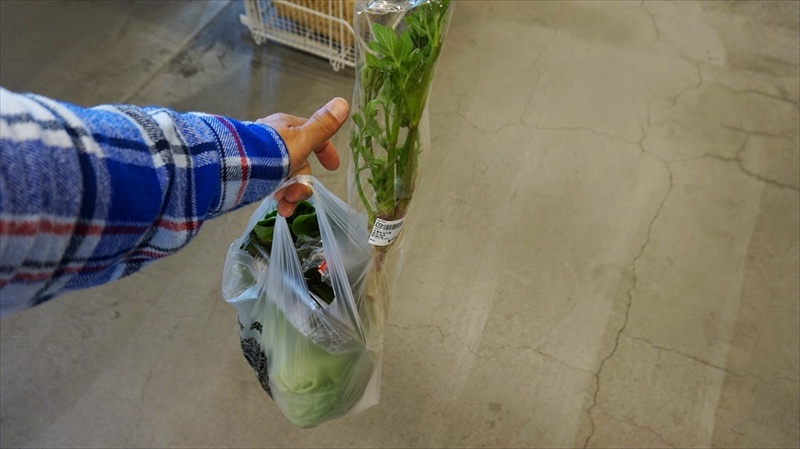 20150420 12510001.JPG