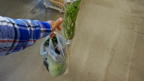 20150420 12510001.JPG