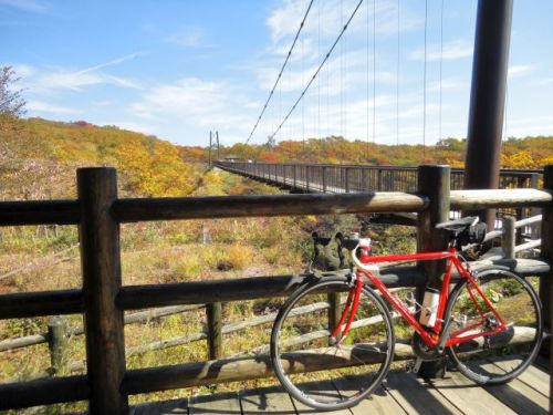 151015tsutsujitsuribashi1.jpg