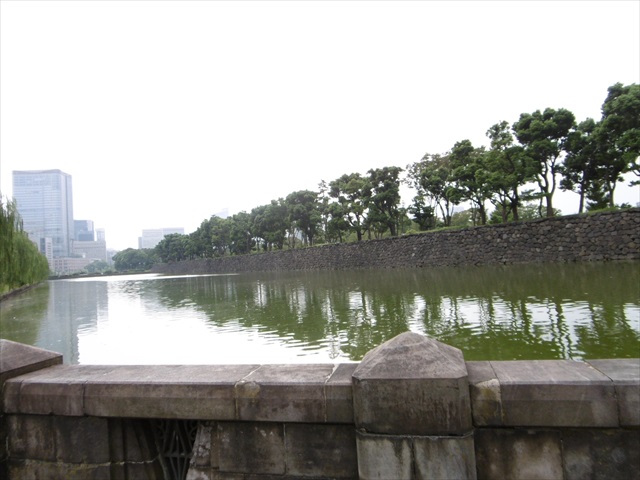 P1310203.JPG