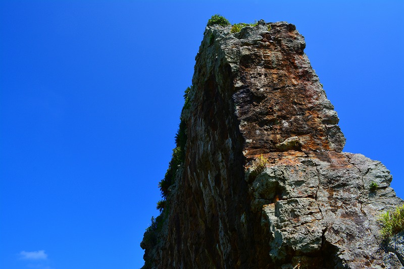 DSC_0862.jpg