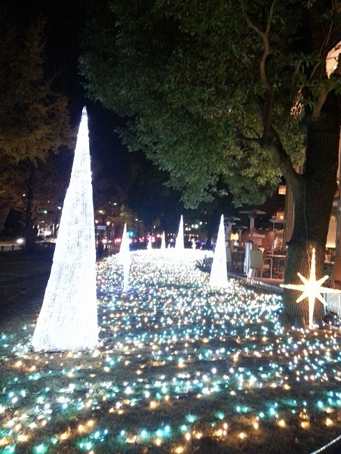 20131202_171503.jpg
