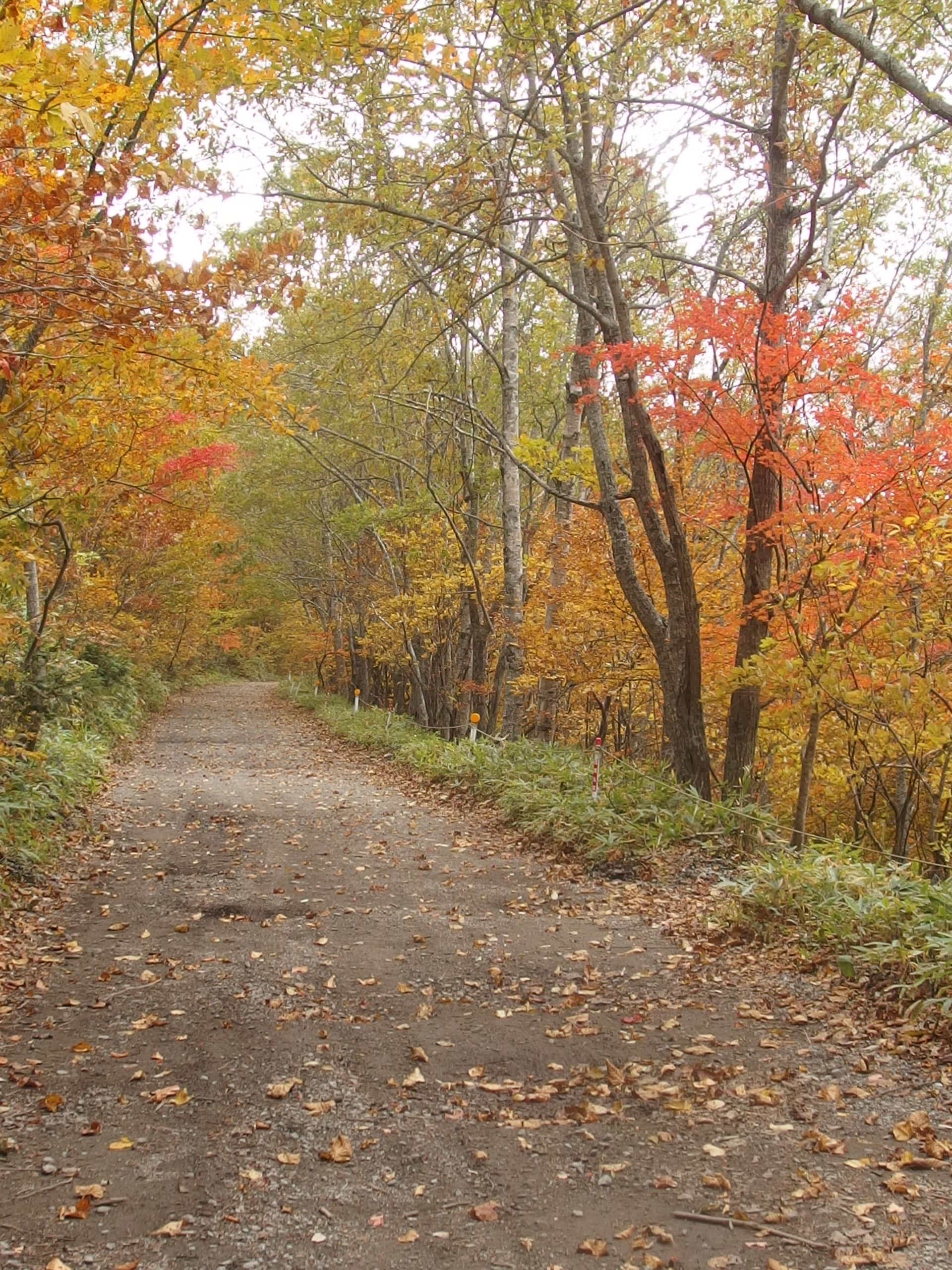 2015-10-13 11.18.00.jpg