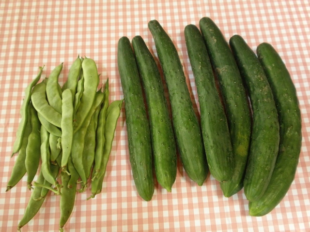 P6272212-1.jpg