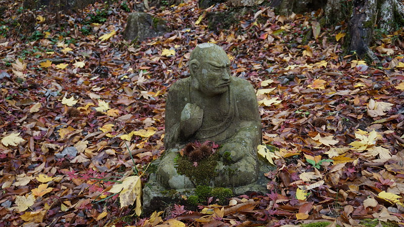 20141112 11131101.jpg