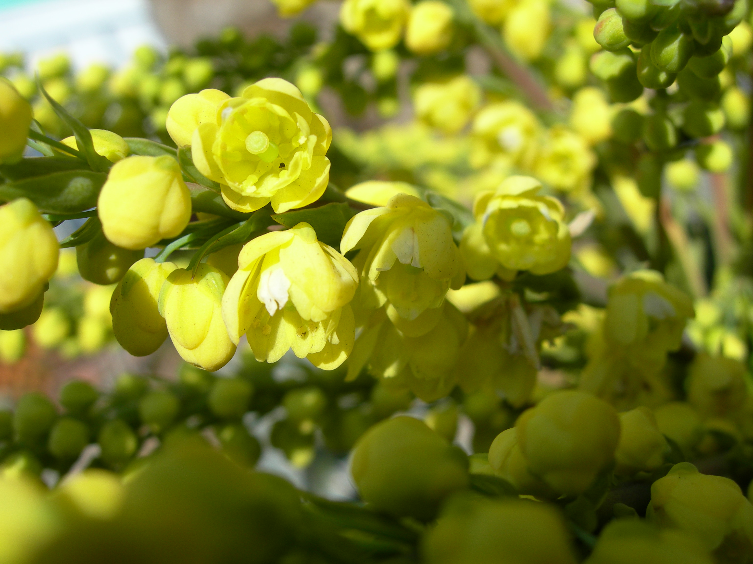 DSCN0130.JPG