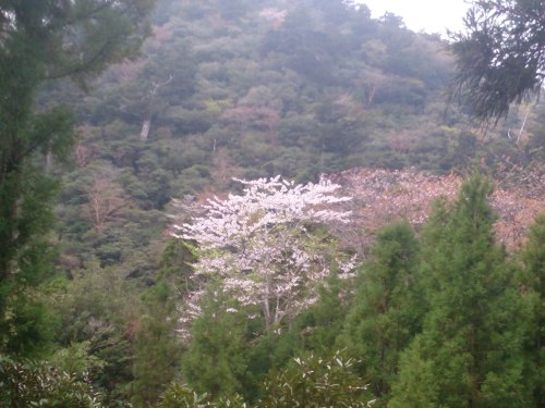 2014-03-31-11-45-53_photo (3).jpg