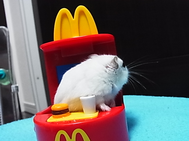 2014_06150842.JPG