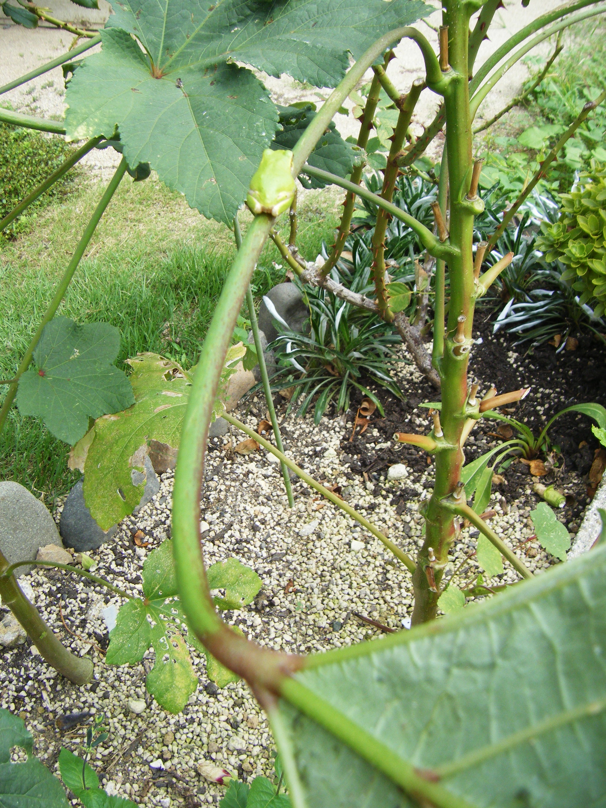 DSCF0577.jpg