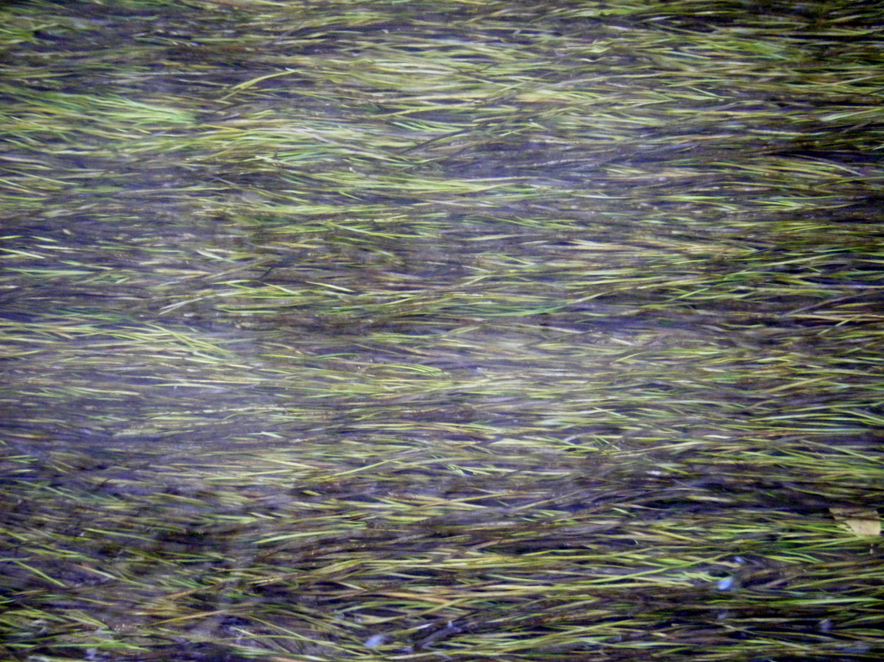 DSCF2321.JPG