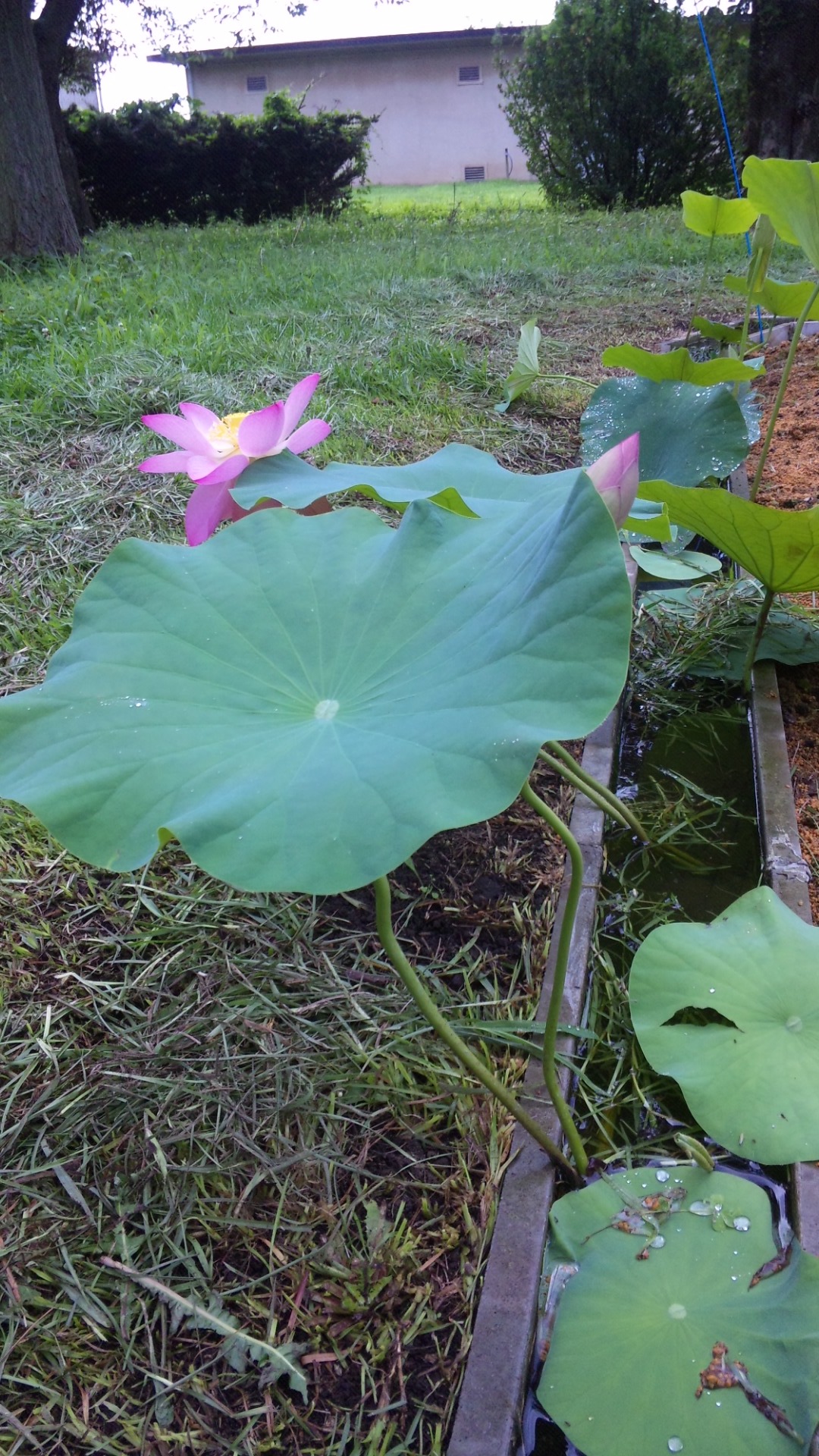 SH3D1039.jpg