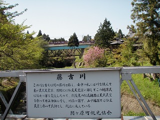 P4280012.jpg
