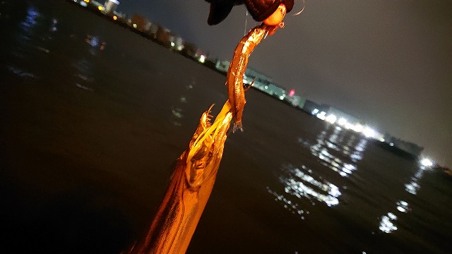 showPhoto (640×360)