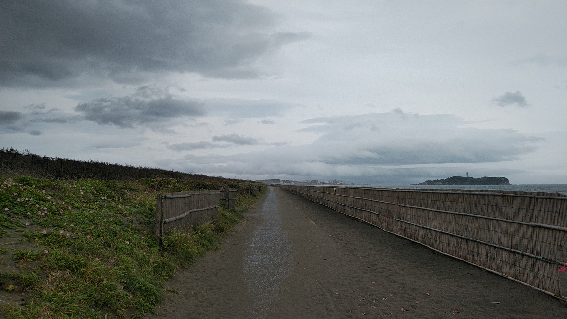 20200510  DSC_0001.jpg.jpg