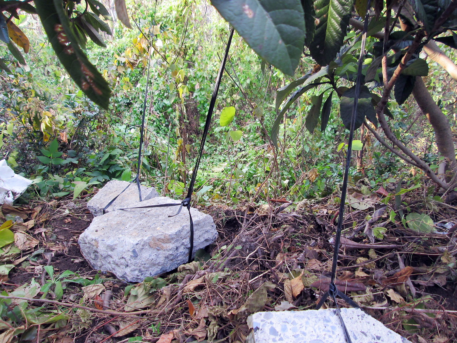conv0447.JPG