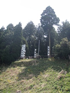 P4290069.jpg
