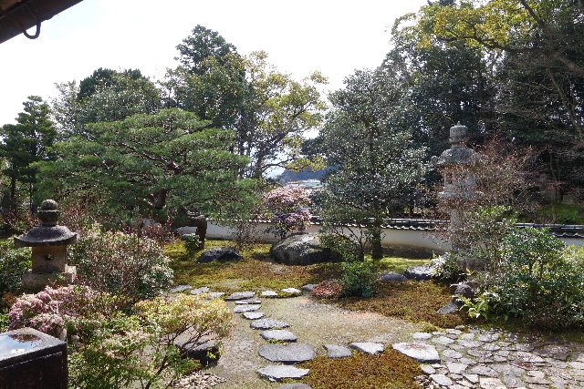 DSC04813.JPG