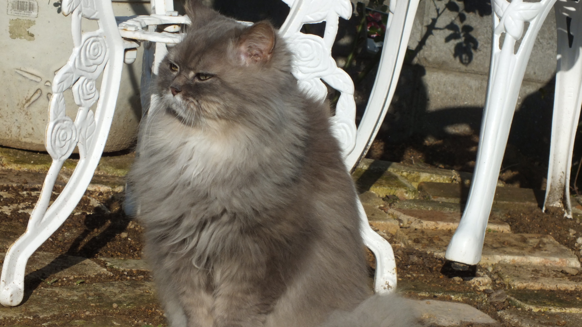 DSCF5829.JPG