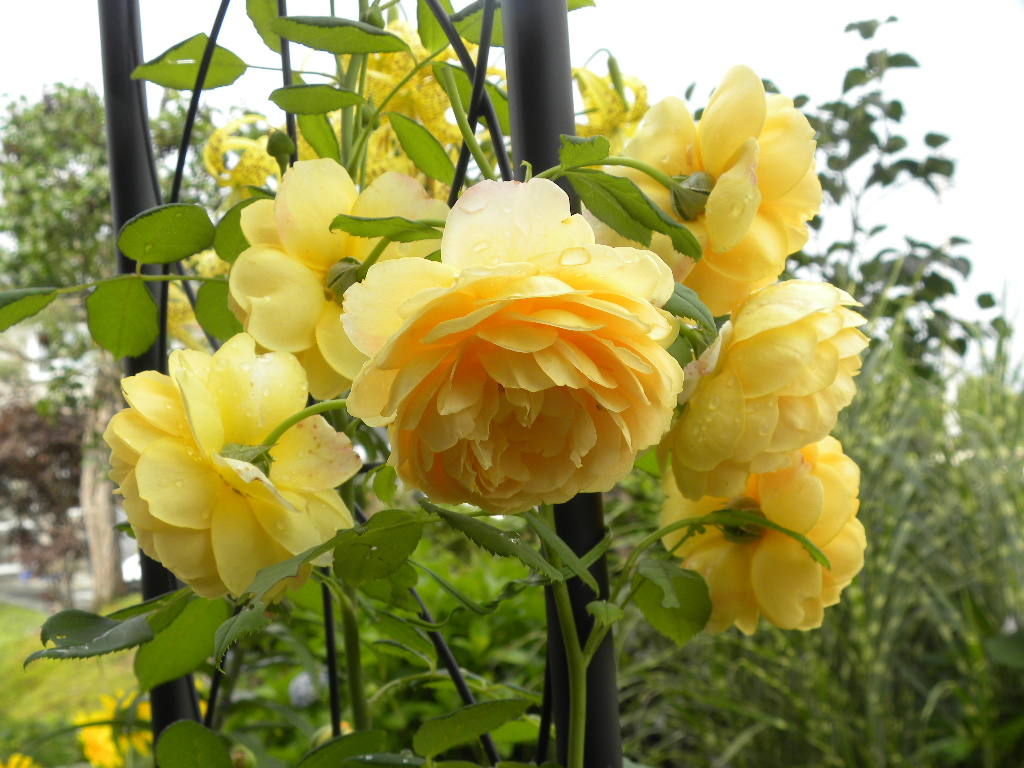DSCN7942.JPG